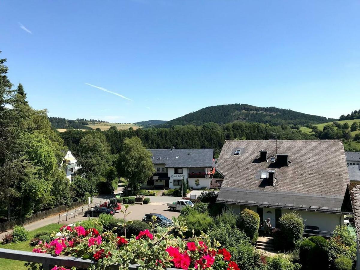 Hotelpension Schroeder Willingen  Extérieur photo