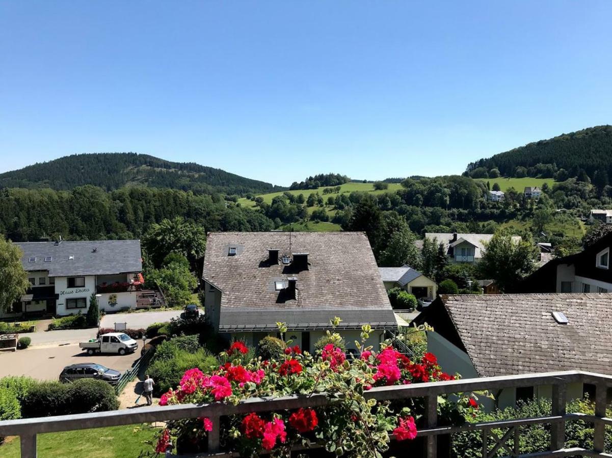 Hotelpension Schroeder Willingen  Extérieur photo